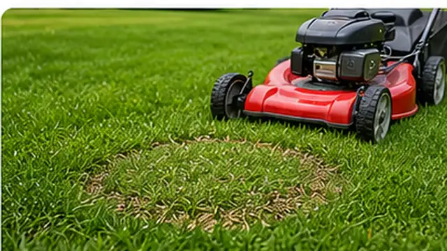 Homeowner spreading matching grass seed evenly over a prepared bare lawn patch.