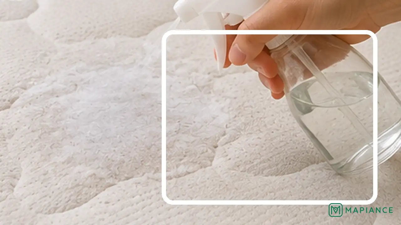 Person checking a dry mattress for remaining urine odor before repeating the enzyme treatment if needed.