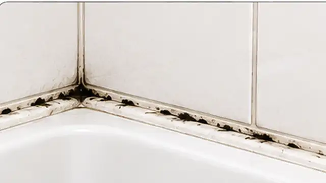 Person wearing gloves inspecting a moldy shower caulk line before cleaning it.